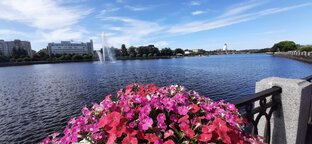 Я это видела своими глазами