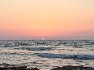 Исчезающие поэты