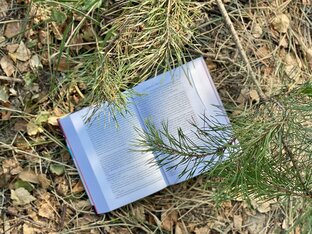 Книжные тесты 