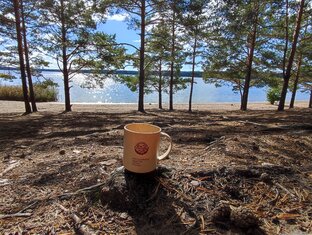 Экологическое волонтёрство