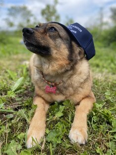 Рубрика "Чудные мы"