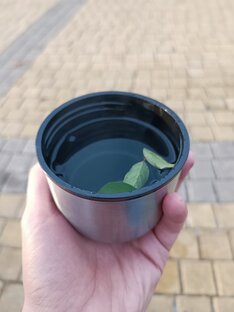 Записки путешественника вокруг света