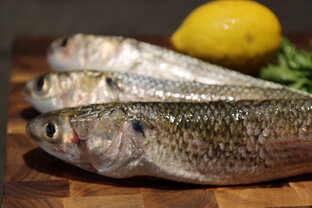 Блюда из рыбы