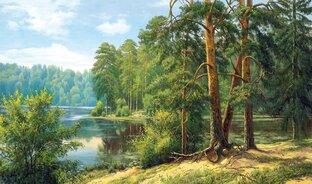 Мои рассказы