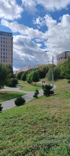Прогулки