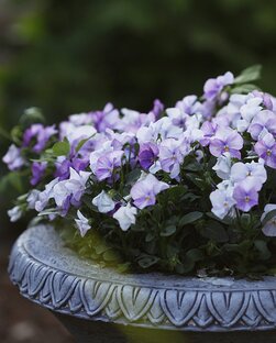 Все о фотографии