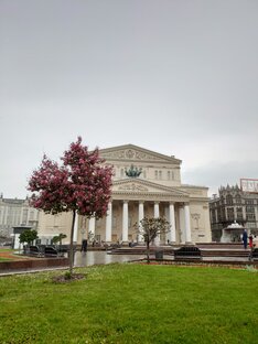 Светская жизнь. Личное мнение.