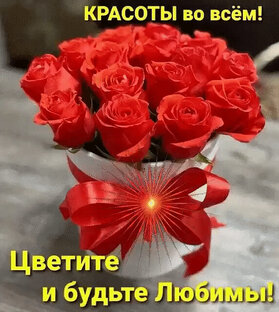 ЦВЕТЫ НА ФОТО ЭТО КЛАСС-ПУСКАЙ ПОРАДУЮТ СЕЙЧАС!