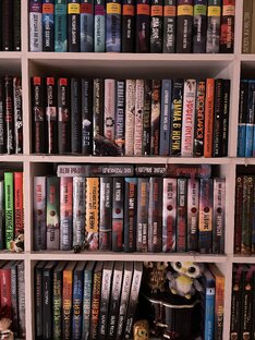 Книгомания 