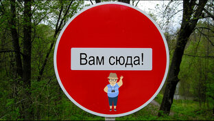 Проза -первые шаги