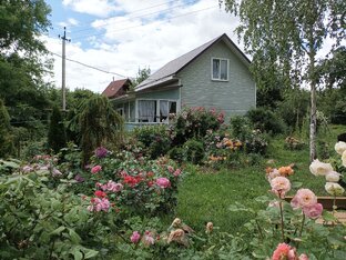 Статьи. О разном... Тихая жизнь ...