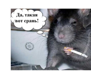 О жизни