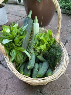 ОВОЩНЫЕ КУЛЬТУРЫ