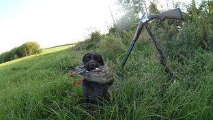 Охота на уток