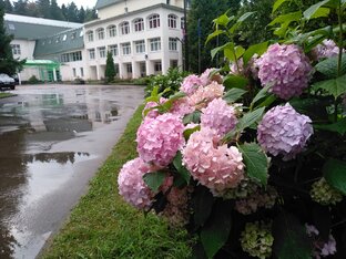 Парк-отель "Атлас" в Домодедово