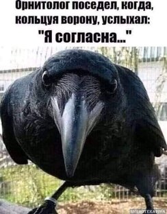 Правда жизни