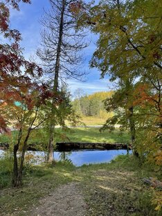 Осень 🍂