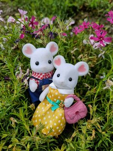 Семья Мышей 