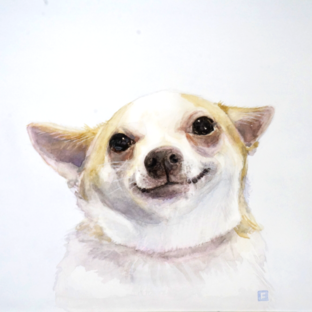 Портреты животных