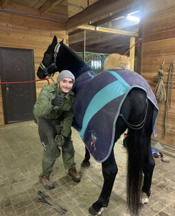 Познавательное конное кино