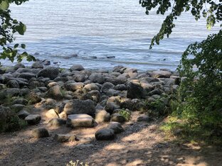 Путешествия, садовые и не только