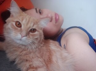 Дневник кота