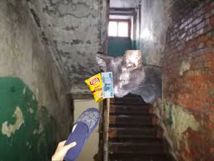 КоТ