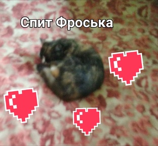 Пытаюсь создать канал