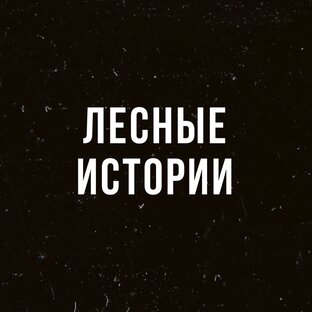 Лесные истории
