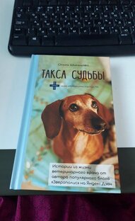 Такса судьбы 
