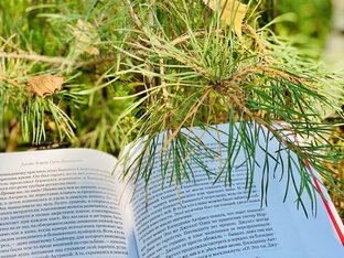 Книжные подборки 
