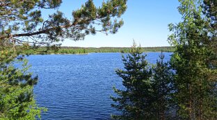 С-Петербург и Ленинградская область