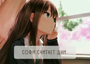 Софи считает дни (история про школьницу)