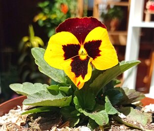 специализированные магазины