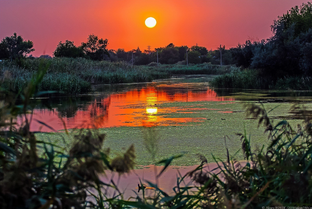 ДЫШУ Я АВГУСТОМ