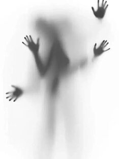 Мои любимые галюцинации