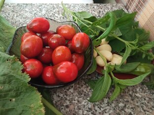 Консервация. Заготовки на зиму