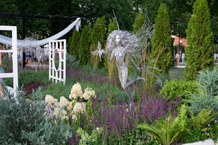 Сады-и-Люди