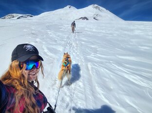 на Кавказ с хаски🗻