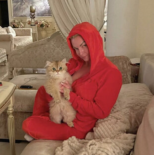 Кошки знаменитостей 