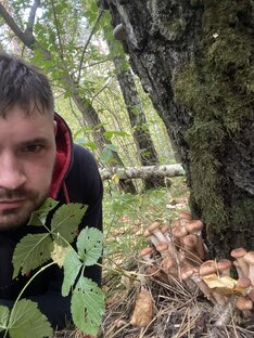 Ночной поход за грибами)