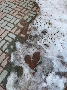 Дневник влюблённого Любимова