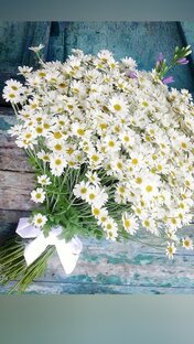 Статьи и посты