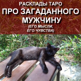 НА ЗАГАДАННОГО МУЖЧИНУ видеорасклады для женщин