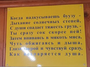Обзор позных г. Иркутска