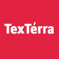 Дзен TexTerra Daily статистика