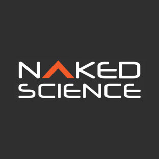 Статистика яндекс дзен Naked Science