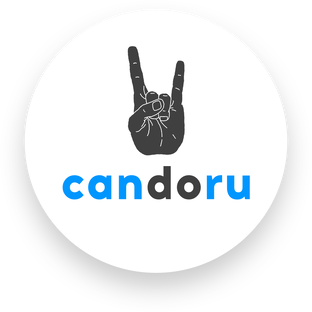 Дзен CANDORU.ru статистика