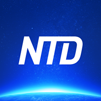 Логотип канала Телеканал NTD