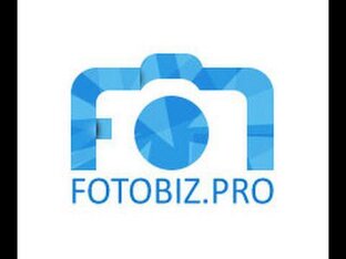 Дзен Fotobiz.pro статистика